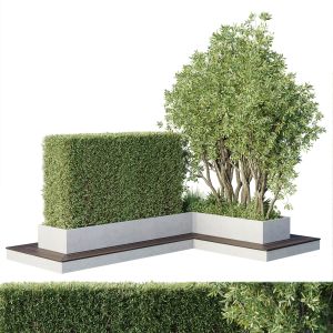 Garden Plants Set In A Box - Outdoor Set 162