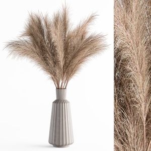 Dry Plants 90 - Dried Pampas Set