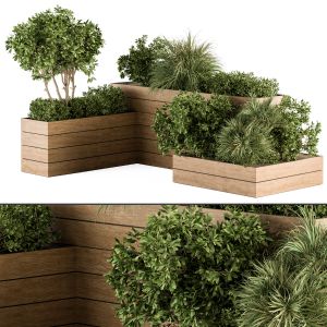 Outdoor Plant 376- Wooden Plant Box Set