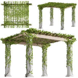 Classic Pergola With Ivy V1