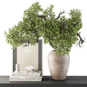 Vase And Plant Decorative Set - Set 111