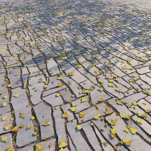 Pavement 34 8k Seamless Pbr Material