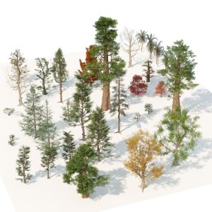 Low Poly Tree Collection Pack