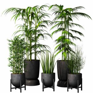 Indoorplant Set 22