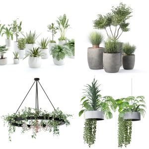 Indoor plant collection set 02