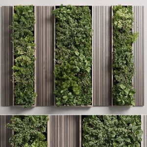 Vertical Wall Garden With Wooden Frame  Plants Set