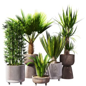 Indoor Plant Set 26