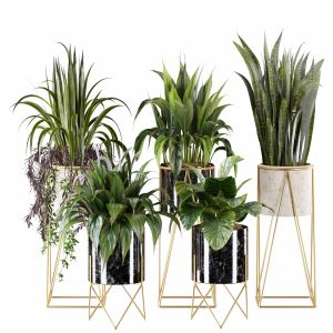 Indoor Plant Set 28