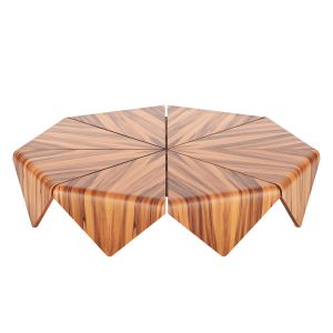 Jorge Zalszupin Petalas Coffee Table