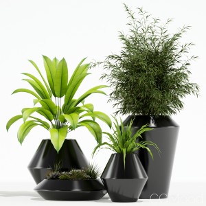 Plants Collection 133 Westelm Modern Planters