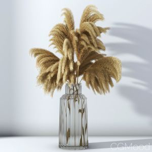 Pampas Grass Set