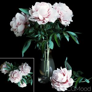 Bouquet Of Peonies