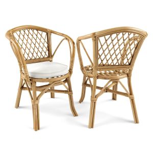 Rattan Armchair With Cushion