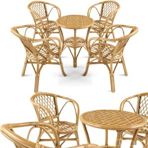 Garden Rattan Furniture Set 1