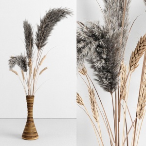 Dry Plant Decorativ