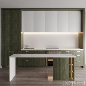 Green Modern Kitchen