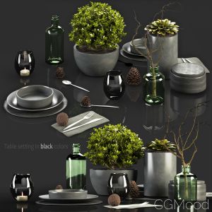 Table Setting In Black Colors