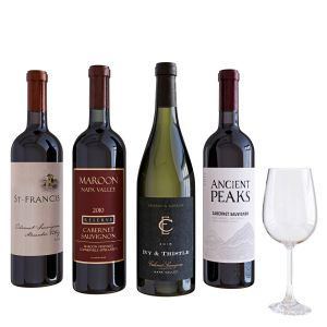 Wine Bottle Set 9