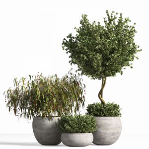 Indoor Plant Stand 10