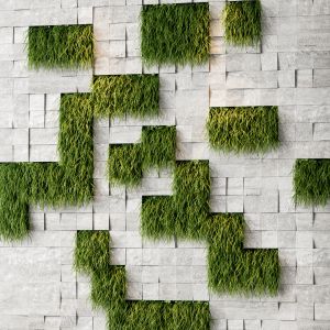 Vertical Plant Stone Wall