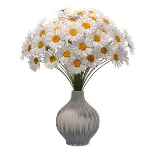 Chamomile In Vase