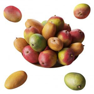 Mango. 6 Models