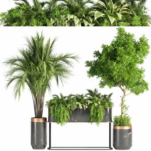 Indoor Plant Set 33