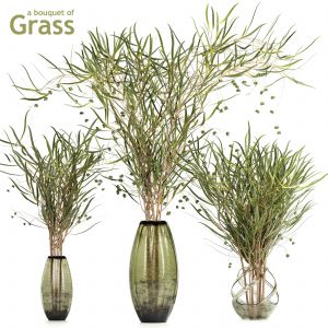 A Bouquet Of Grass