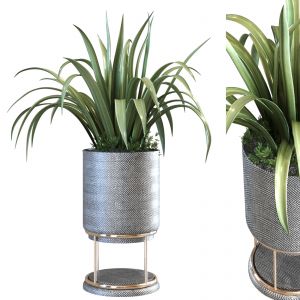 Plant In Vase Set 107