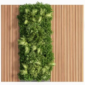 Wooden Planks And Vertical Garden 03