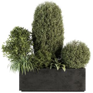 Outdoor Plant Set 249 - Plant Box