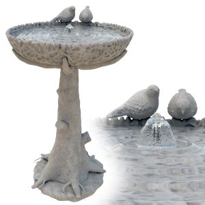 Bird Bath Fountain