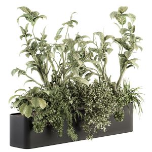 Outdoor Plant Set 248 - Plant Box With Big Leaf