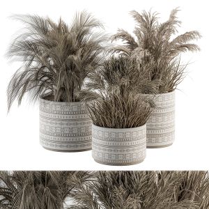 Indoor Plant Set 268 - Dried Plants In Pot