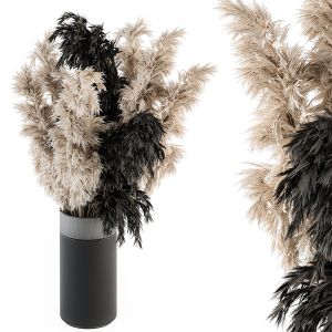 Dry Plants 83 - Dried Pampas Black And Cream