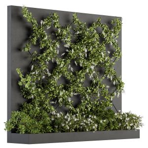 Vertical Garden - Outdoor Green Wall