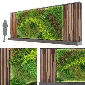 Green Wall Vertical garden of 9 plant types