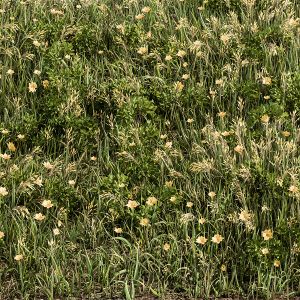 Green Grass With Yellow Flower - Grass Set 06