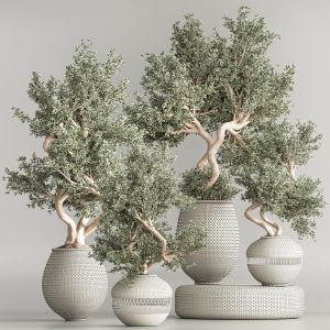 Indoor Plant Set 64 (vray)