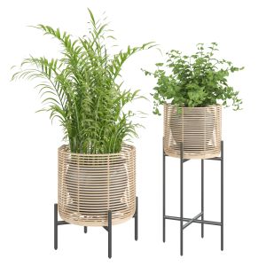 Vivi Plant Stands