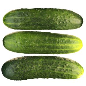 4k Cucumbers Short-fruited Prickly