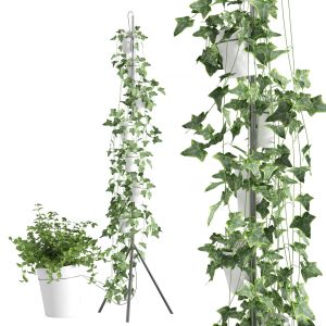 Porcelain Vase System For Hydroponic Cultivation