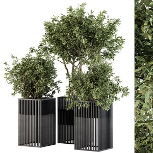 Outdoor Plant Set 276 - Plant Set In Metal Pot