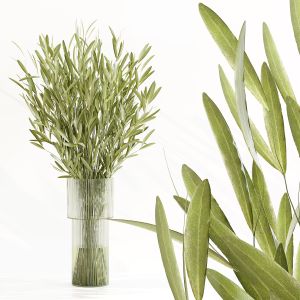 Olive In Dina Fluted Glass Vase