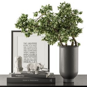 Decorative Set With Plants - Set 77