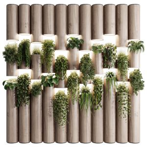 Plants Set Partition In Wooden Frame Vertical Gra