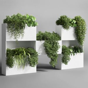 Collection Outdoor Indoor Plant Stand Concrete Vas