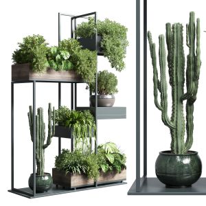 Collection Outdoor Indoor Plant  Stand Metal Wood