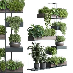 Standing Metal Shelf With A Set Of Plants In Woode