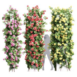 Climbing Roses Cube Columns